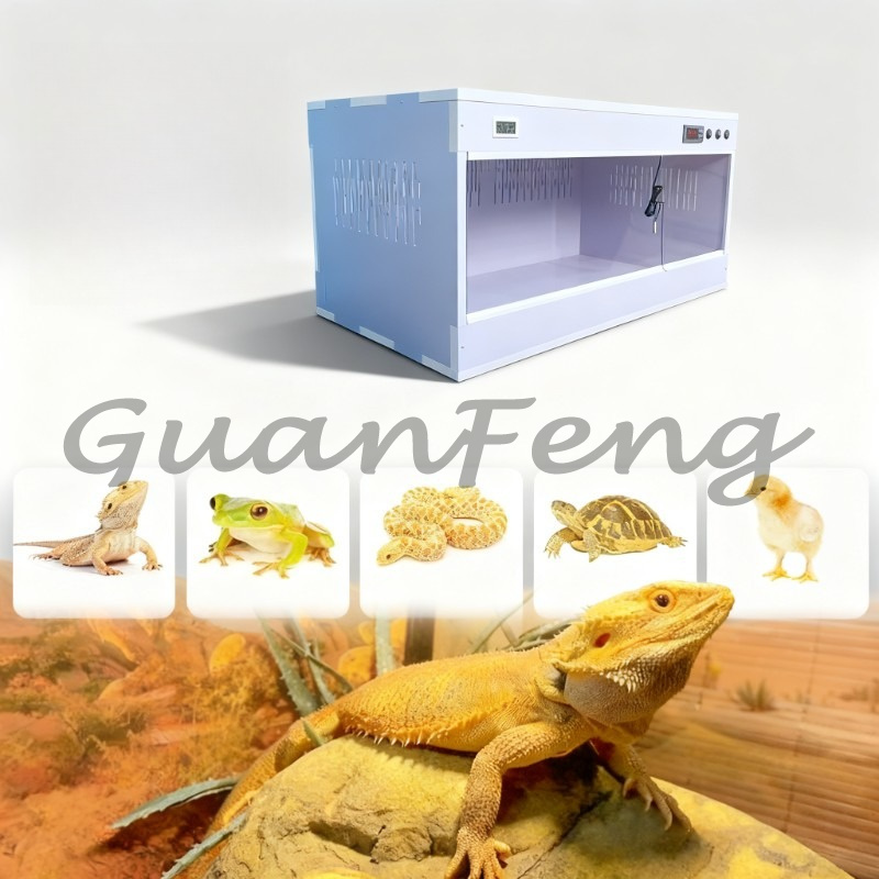 Model Kit Dragon - Terrarium pour reptiles en PVC, modèle